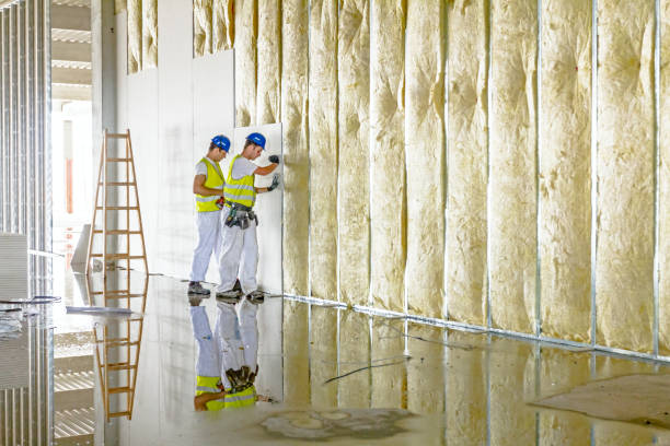 Best Eco-Friendly or Green Insulation Solutions  in Madison, FL